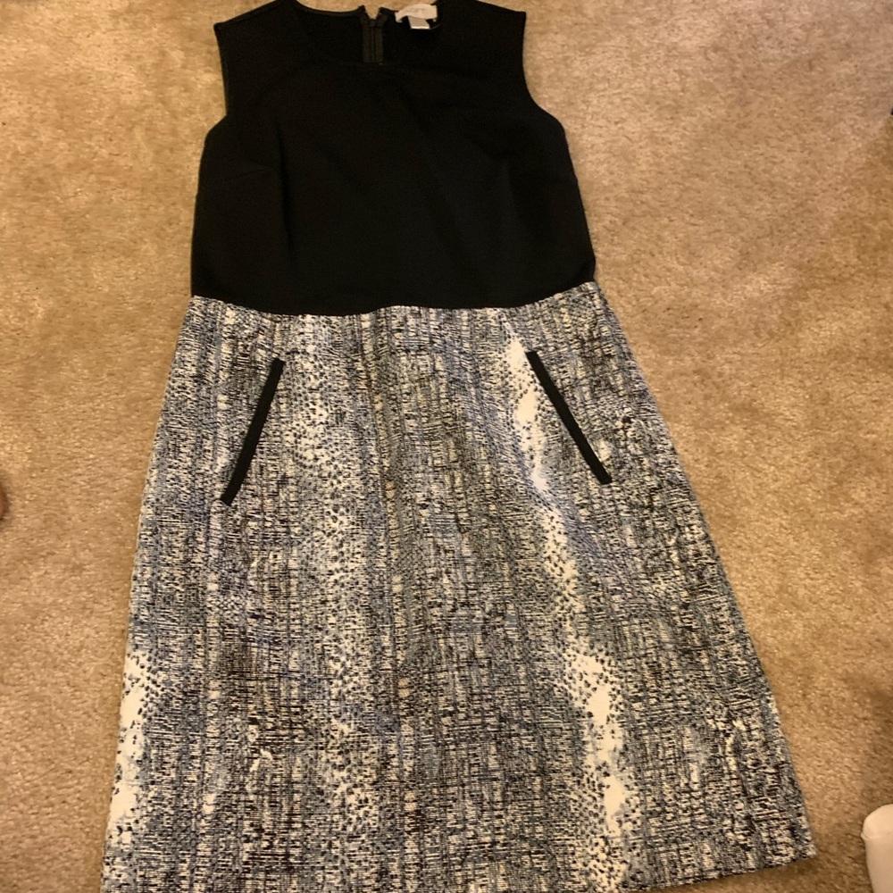 NWT Loft dress